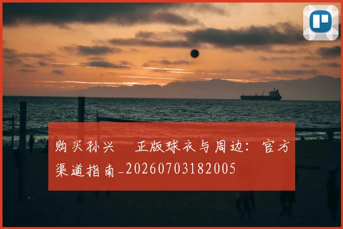 购买孙兴慜正版球衣与周边：官方渠道指南_20260703182005