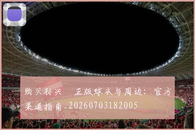 购买孙兴慜正版球衣与周边:官方渠道指南_20260703182005