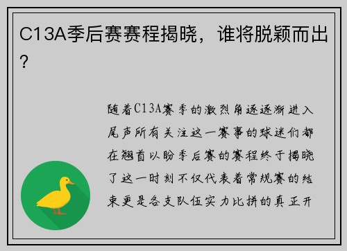 C13A季后赛赛程揭晓，谁将脱颖而出？