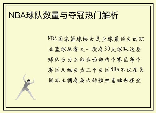 NBA球队数量与夺冠热门解析